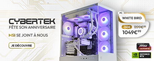 29ans-Cybertek_PC-WHITE-BIRD